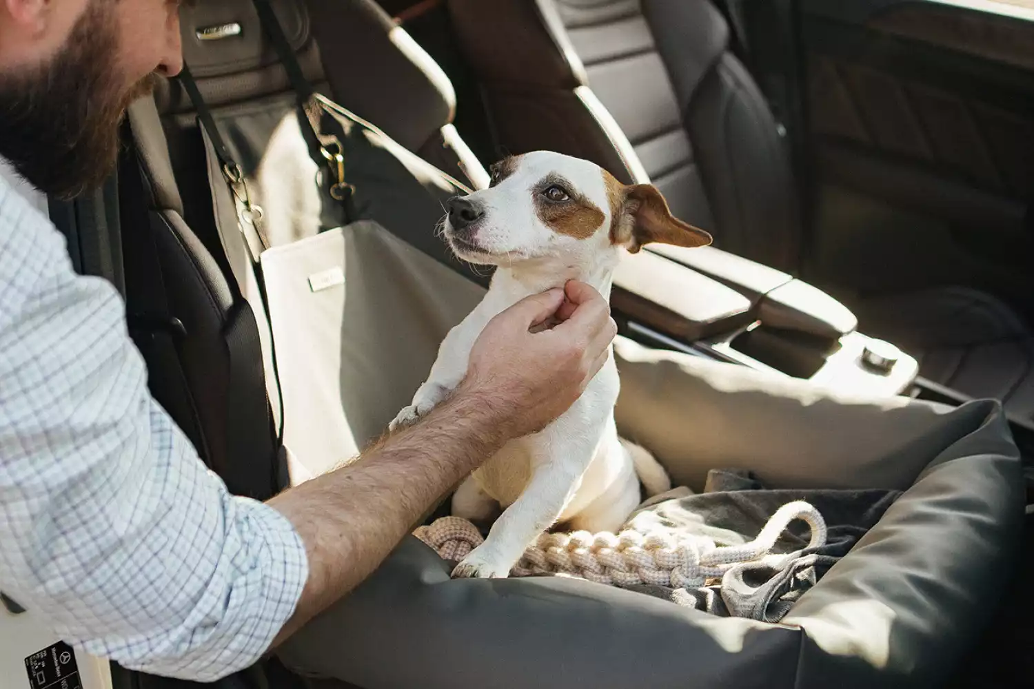 Subaru Outback Dog Car Seat for Welsh Springer Spaniels